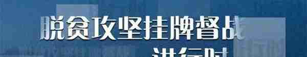 手把手教你，昭通2020养老保险缴费开始，缴100元补35元，多缴多补贴！