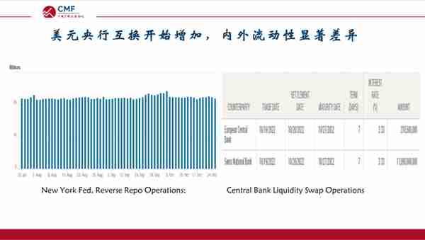 聚焦“人民币汇率：疫情以来的大国汇率”，CMF中国宏观经济专题报告发布