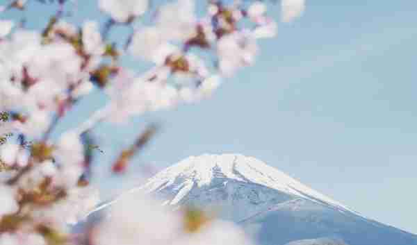 干货收藏！一文get日本留学奖学金申请攻略