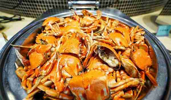 西北最高档的室内温泉，海鲜自助餐98元鱼虾蟹都有你说贵不贵？