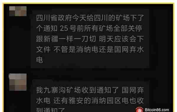 30块钱U盘被拍卖到4万，里面究竟藏了啥宝贝？