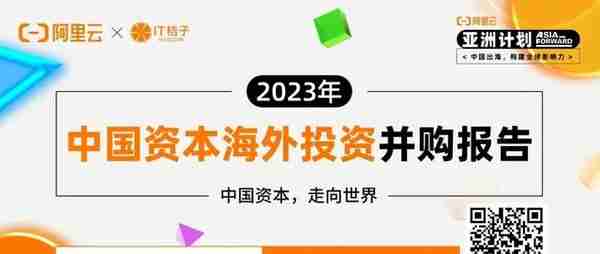 中国投资人出海扫货：在北美、东南亚等地，他们最爱投什么？