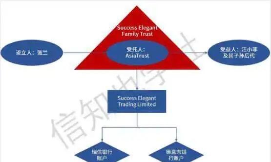 九条命的张兰，海外家族信托被击穿