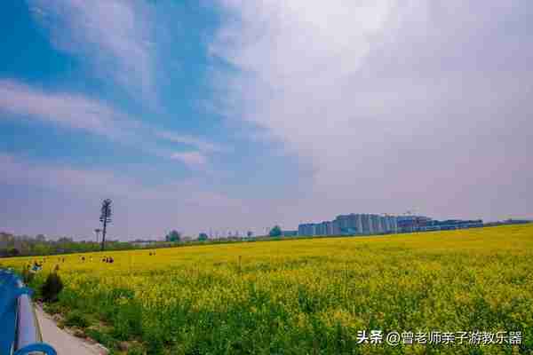 本周去哪里？西安及周边4月赏花露营溜娃地点大全，15个优质景区