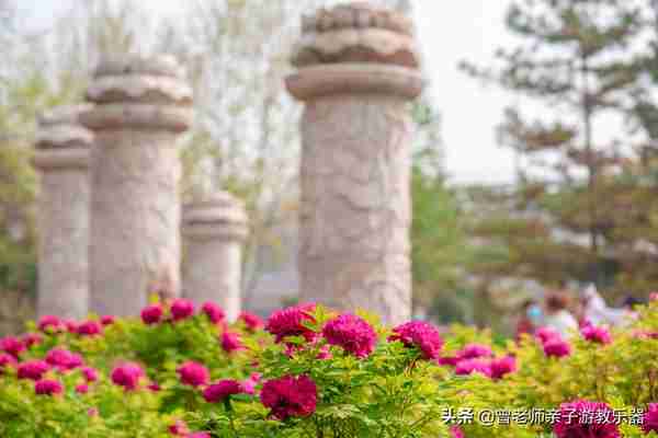 本周去哪里？西安及周边4月赏花露营溜娃地点大全，15个优质景区