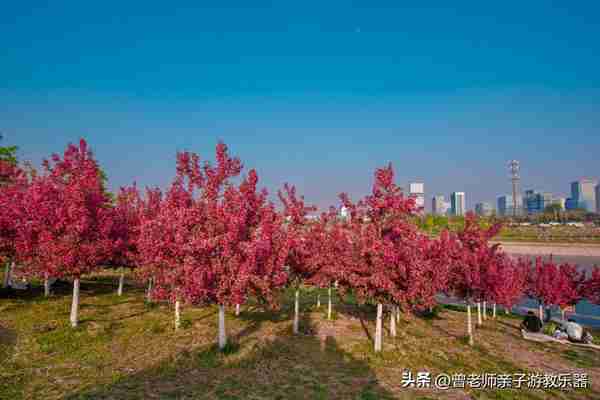 本周去哪里？西安及周边4月赏花露营溜娃地点大全，15个优质景区