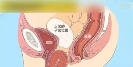 吓人！男子酒后呕吐，竟然吐出大肉团！医生：是肿瘤！还有更奇葩的