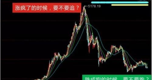 20个让人幸福的投资要素 基金定投有几个？