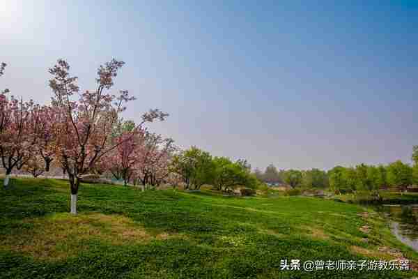 本周去哪里？西安及周边4月赏花露营溜娃地点大全，15个优质景区