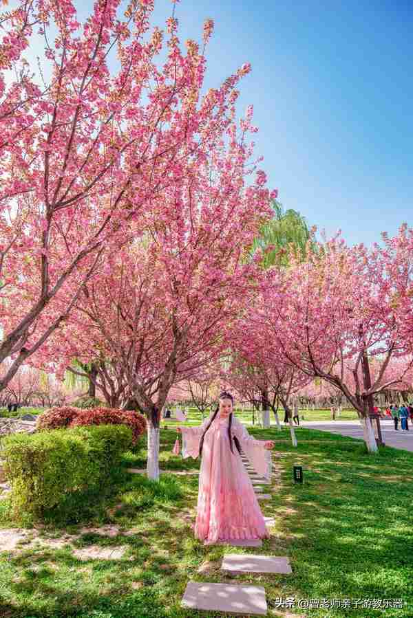 本周去哪里？西安及周边4月赏花露营溜娃地点大全，15个优质景区