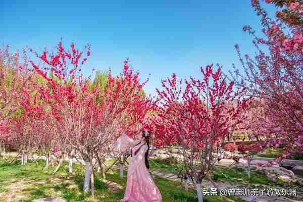 本周去哪里？西安及周边4月赏花露营溜娃地点大全，15个优质景区