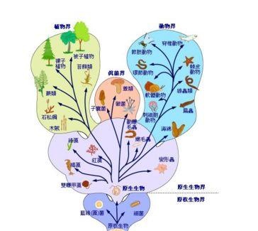 从“霍布斯—刘慈欣问题”到盖娅假说——由《三体》说开去（上）