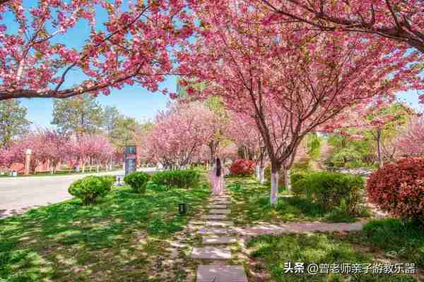 本周去哪里？西安及周边4月赏花露营溜娃地点大全，15个优质景区