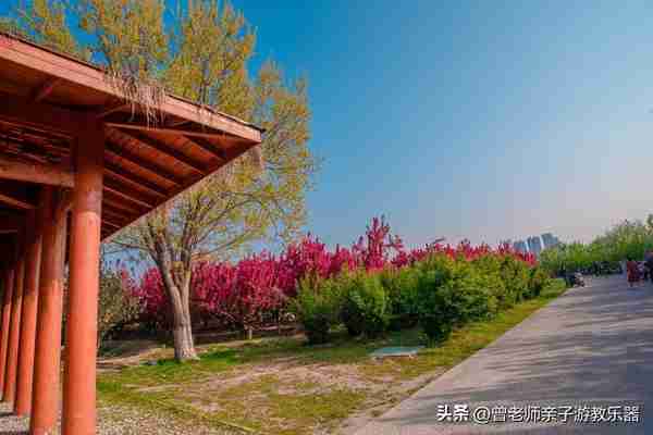 本周去哪里？西安及周边4月赏花露营溜娃地点大全，15个优质景区