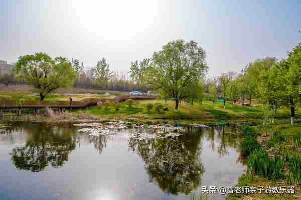 本周去哪里？西安及周边4月赏花露营溜娃地点大全，15个优质景区