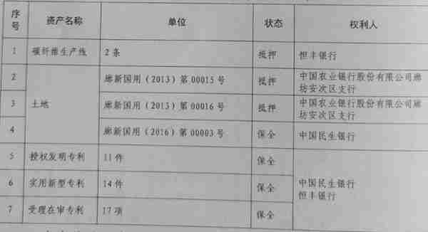 破产重整拍卖中止 康得新大股东碳纤维资产暂免被拆解