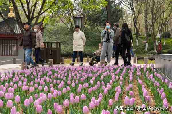 本周去哪里？西安及周边4月赏花露营溜娃地点大全，15个优质景区