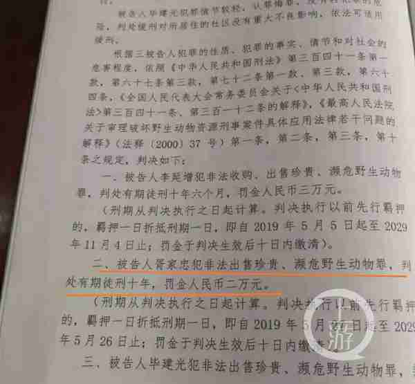 男子出售41只家养鹦鹉获刑10年 儿子：这不是冤枉吗