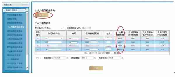 单位、个人社保费缴纳金额怎么查？攻略来啦