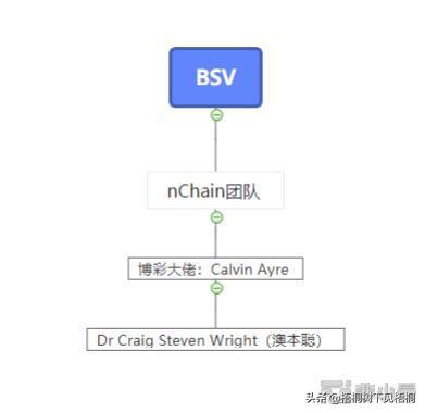 BSV、澳本聪与减半行情 最全梳理，帮你赚到认知之中的钱