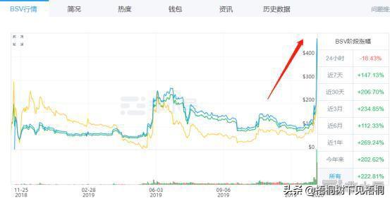 BSV、澳本聪与减半行情 最全梳理，帮你赚到认知之中的钱