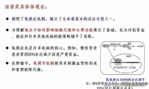 华南农业大学专家：氧气不仅是呼吸，还是一种营养