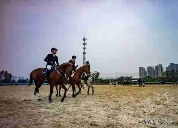 再见，温江2019