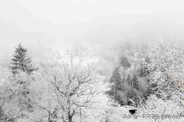 滑雪初体验—4天能不能学会滑雪呢？