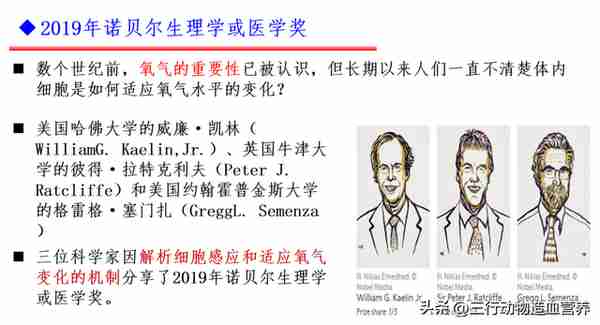 华南农业大学专家：氧气不仅是呼吸，还是一种营养