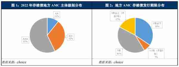 中诚信国际：2022年度地方AMC发债特征与市场展望——持续分化，回归本源，差异化竞争力尚需提升