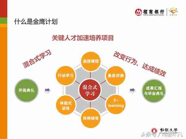 招商银行招银大学：“金鹰计划“人才培训项目