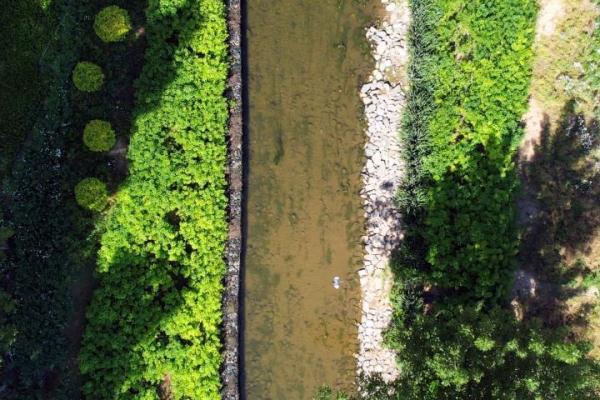 河北广阳：生态治理让河道换新颜