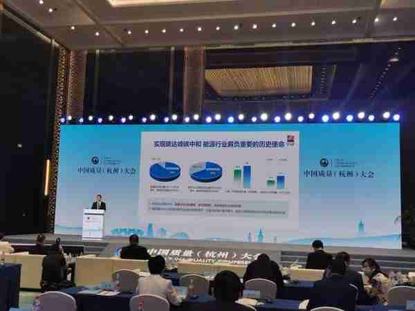 浙能集团董事长：“十四五”期间可再生能源装机规模翻两番