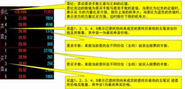 细节全面的股票基础培训，含有大量名词解释，建议收藏